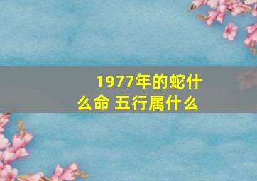 1977年的蛇什么命 五行属什么